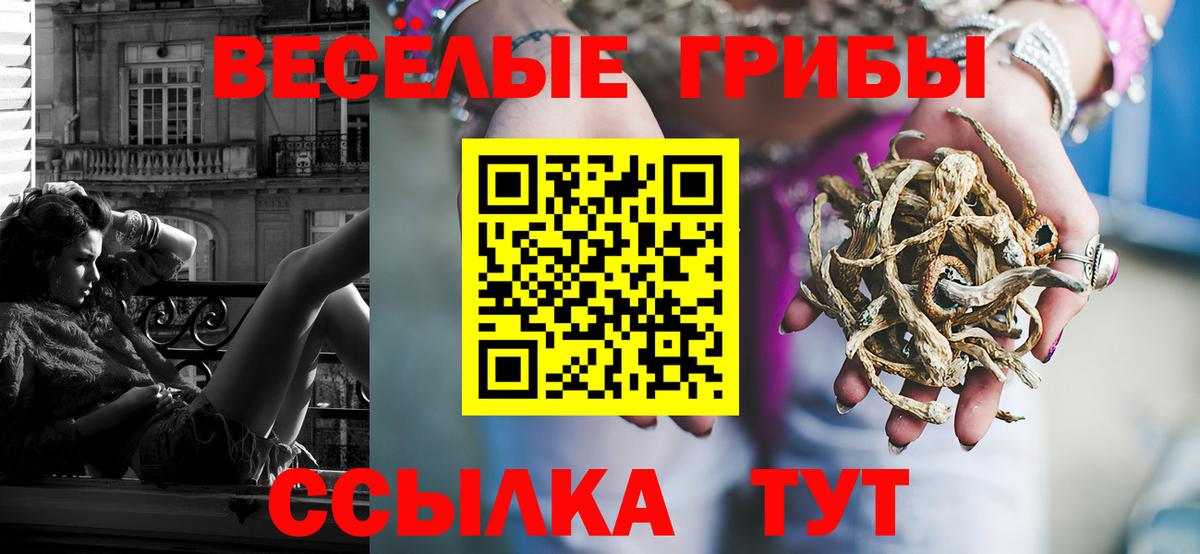 Балашов  Галлюциногенные грибы Psilocybe  Вход с VPN 